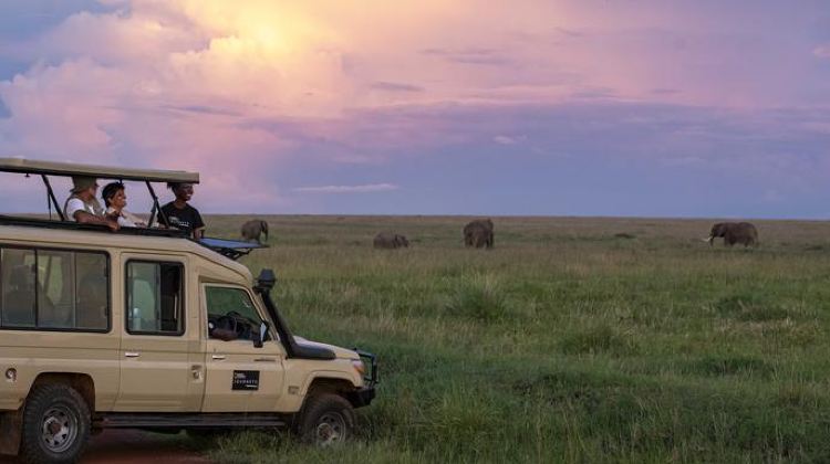 7-Day Tanzania Safari from Arusha·7-Seat 4×4 Game Drives in Serengeti & Ngorongoro Crater with a Safari Lodge Stay