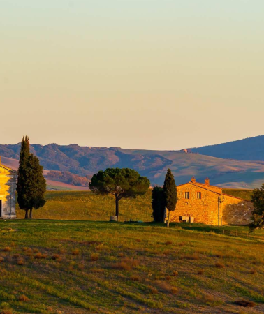 4D3N • Italy + Florence + Siena + Montepulciano + Tuscany + Cantalici Winery + Cattedrale di Santa Maria Asunta