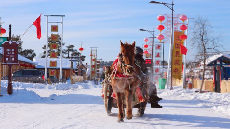 3-Day Mini group tour: Mohe , Arctic Village, aurora viewing, reindeer interaction, fun , no shopping , nice boutique stays.