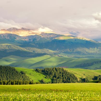 新疆乌鲁木齐8日7晚私家团