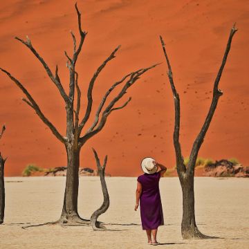 纳米比亚+博茨瓦纳+津巴布韦+赞比亚+埃托沙国家公园+骷髅海岸公园+维多利亚瀑布14日12晚跟团游