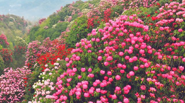 神农架、宜昌+5