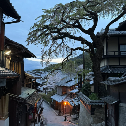东京+京都+奈良+大阪8日7晚自由行