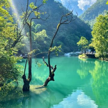 织金洞+黄果树景区+荔波小七孔景区+西江千户苗寨4日3晚自由行
