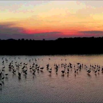 埃格尔+埃格尔披头士博物馆+埃格尔美人谷+霍尔托巴吉国家公园2日1晚私家团