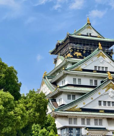 9日8晚 • 日本东京富士山大阪京都奈良市9日8晚拼小团