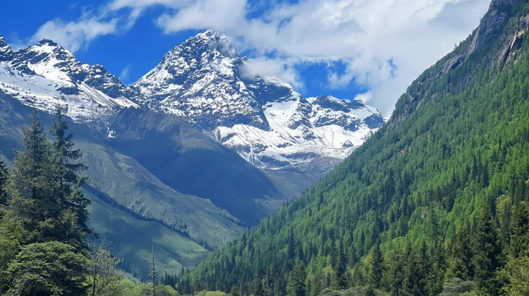 2-day 1-night · Private Tour · Mount Siguniang + Siguniang Mountain Shuangqiaogou - Viewing Platform