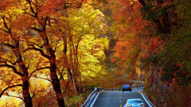 8-day 7-night · Private Tour · Enshi City + Shennongjia + Yichang