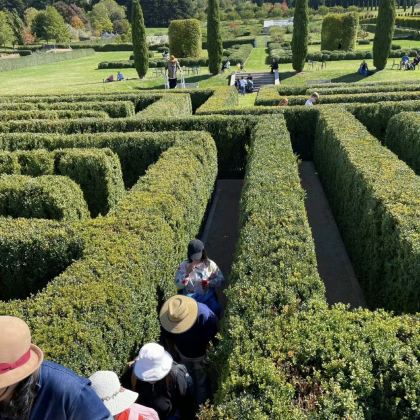 澳大利亚阿德莱德+澎湃粉红湖4日3晚私家团