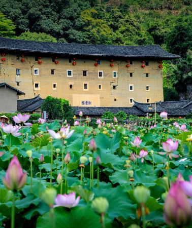 4日•廈門鼓浪嶼福建土樓