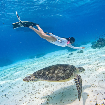 菲律宾宿务+薄荷岛5日4晚私家团