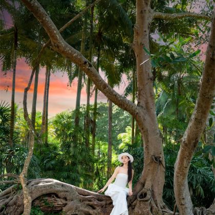 西双版纳+野象谷5日4晚跟团游