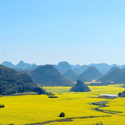 昆明+罗平+元阳+泸西+弥勒6日5晚拼小团