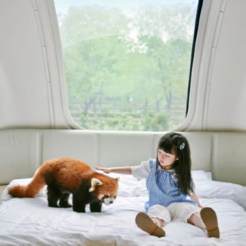 云南西双版纳+普洱6日5晚拼小团