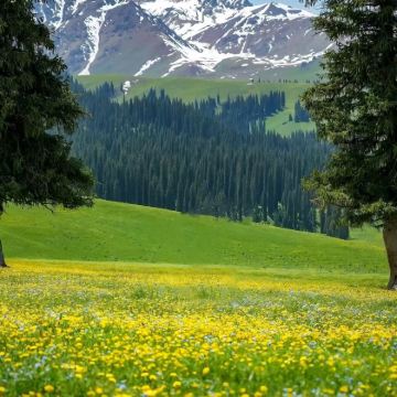 新疆北疆+伊犁+赛里木湖+那拉提旅游风景区8日7晚私家团