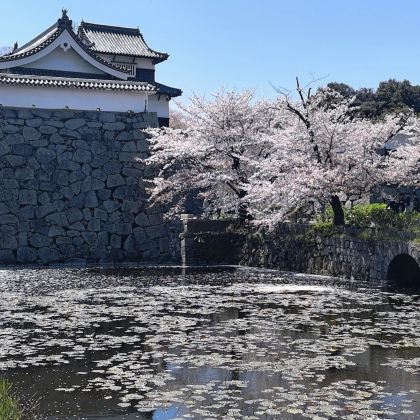 日本九州+福冈+北九州+丝岛市5日4晚跟团游