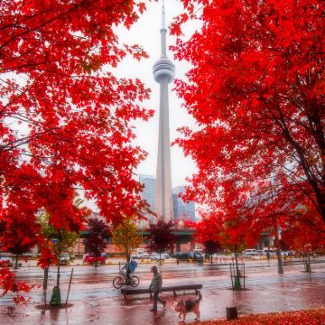 美国+加拿大+墨西哥22日跟团游