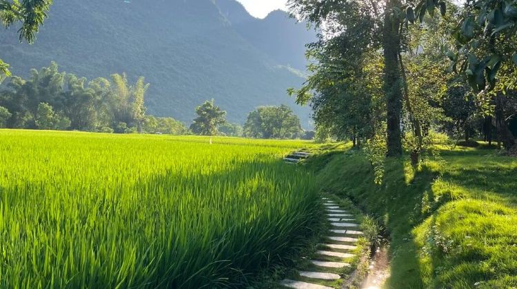 6D5N · Group Tours ·  Include all tips + China's Most Beautiful Scenic Route: Guilin Li River 4-star Cruise + Longji Rice Terraces include round-trip cable car + Yangshuo