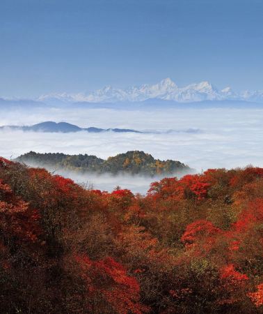8日7晚 • 成都8天團 · 🍁飛機去高鐵回【獨家】連住3晚九寨天堂洲際酒店※深度遊覽九寨溝(獨立包車)、峨眉山金頂(獨立包車)、黃龍、樂山大佛遊船、大熊貓繁育研究基地、漫遊成都City Walk