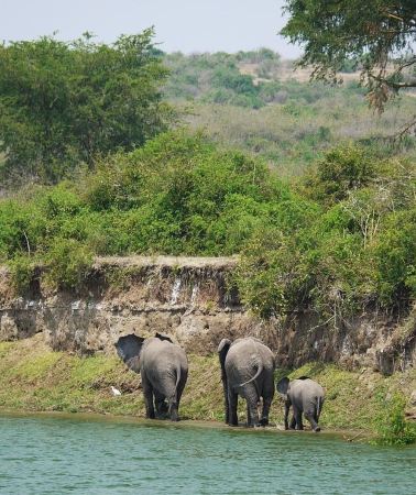 2D1N • Dar es Salaam: 2 Day Mikumi Open Jeep Safari & Waterfalls