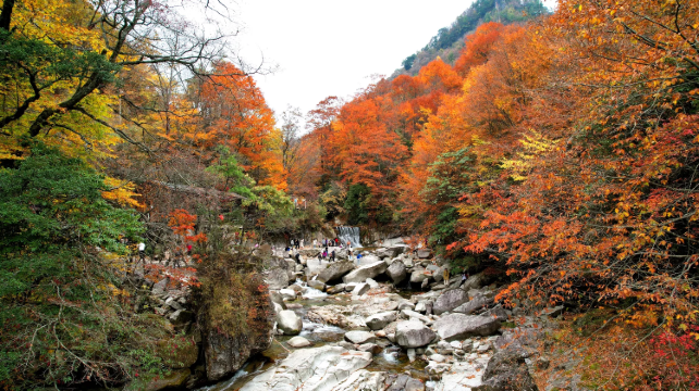 川西靠谱旅行社排名前十强揭晓