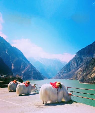 6D5N•Chengdu + Jiuzhaigou + Huanglong National Scenic Area + Bipenggou + Mount Siguniang + Dujiangyan