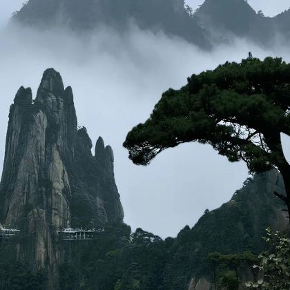 江西+三清山风景区+龙虎山风景区+望仙谷3日2晚跟团游