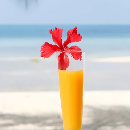 普吉岛10日9晚自由行