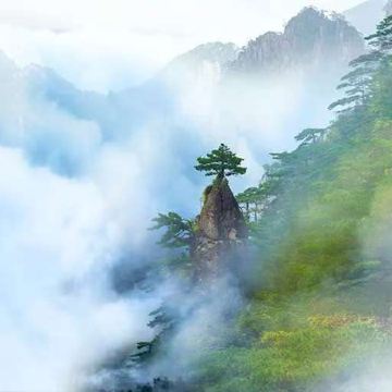 黄山+宏村景区3日2晚跟团游
