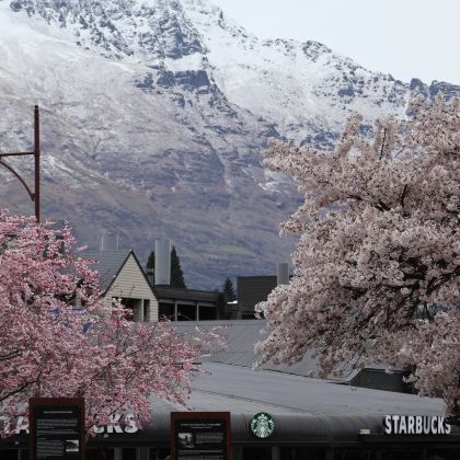 澳大利亚+新西兰14日12晚拼小团