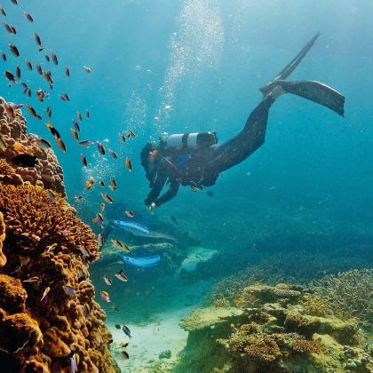 澳大利亚凯恩斯+大堡礁+热带雨林自然公园3日2晚跟团游