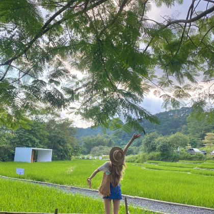 广西崇左+德天瀑布+明仕田园+古龙山大峡谷+鹅泉+峒那屿湾景区4日3晚私家团