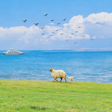 兰州+青海湖景区+茶卡盐湖+敦煌+张掖7日6晚拼小团