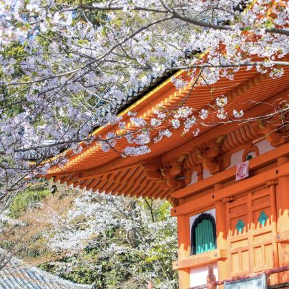 大阪+和歌山市+白滨町2日1晚私家团