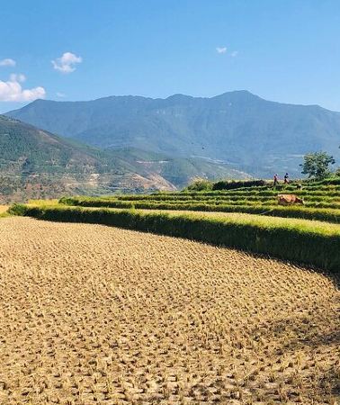 3D2N • Bhutan Highlights Tour - 2 Nights (Thimphu, Paro & Tiger's Nest)