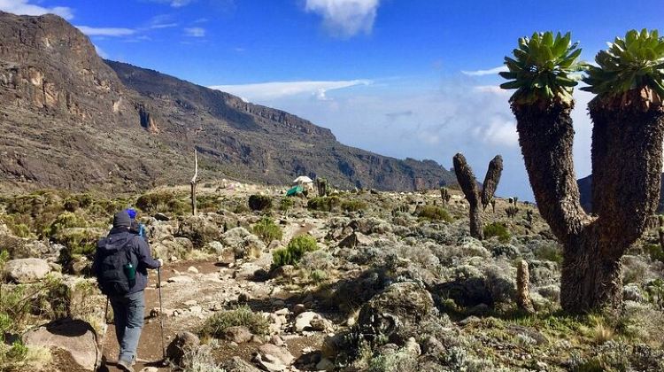 6D5N · Group Tours · 6-Day Kilimanjaro Climbing Via Machame Route