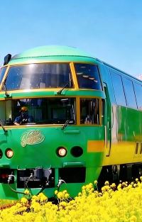 日本九州+北九州市+熊本市+宫崎市+大分市+福冈+佐贺市7日6晚跟团游图片