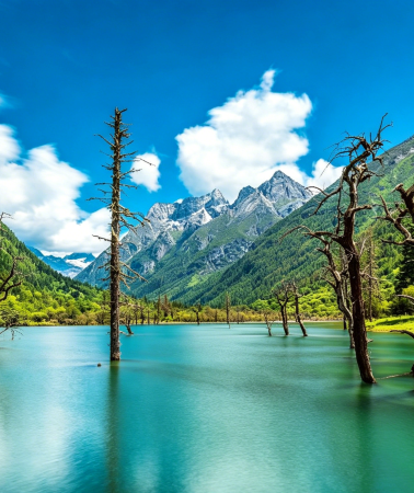 3天2晚 • 「走進川西秘境」四姑娘山景區＋畢棚溝＋臥龍中華大熊貓苑神樹坪基地