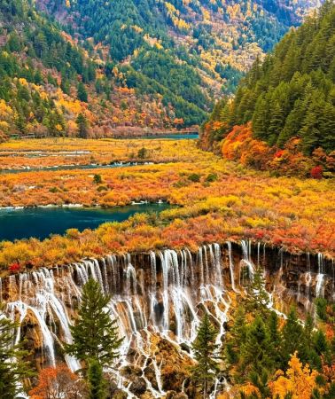 10D9N • Round Trip from Chengdu · Legendary Sichuan-Chongqing Journey: Vibrant Chengdu & Chongqing City Tours, Giant Pandas, Jiuzhaigou and Huanglong