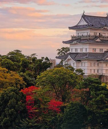 7D6N • Autumn Leaves & Hot Spring Tour: Odawara Castle + Kawazu Maple Valley + Hakone Shrine + MOA Museum + Atami Castle + Mt. Omuro + Jogasaki Coast 