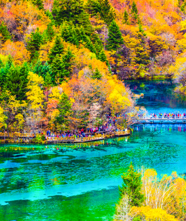 6天5晚 • 彩漫秋山｜九寨溝·黃龍勝境·熊貓基地·三星堆｜搭乘高鐵前往九寨，保證有票｜包含金牌導遊｜預訂GET eSIM 卡＋贈送川劇變臉表演＋品嚐蓋碗茶
