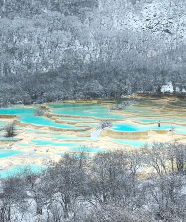 5D4N • Christmas Special · 8-person small group, depart independently with 6 travelers, licensed guide to Panda Base · Jiuzhaigou · Dujiangyan · Sanxingdui, altitude sickness-friendly option, travel east to west along Panda Avenue, free Chengdu hot pot with booking