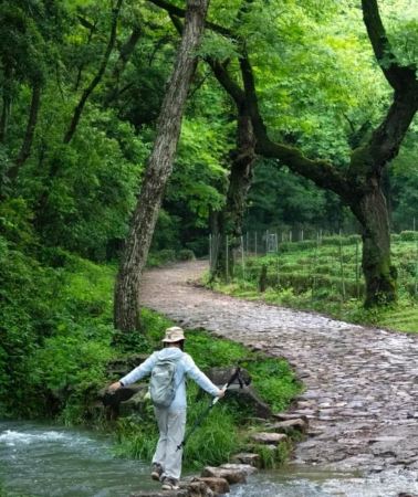 4D3N • From Shanghai: 4-Day Hangzhou & Huangshan Private Tour