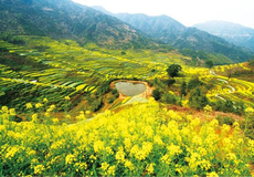 江西南昌+庐山风景区+景德镇+婺源+三清山6日5晚跟团游·【乐享江西 2成人减200/单 一价全含】纯玩无购物 庐山观光车以及缆车&演出票“滕王阁”全包含 含3早5正 三石宴&徽菜宴 24小时接送站 赠精美瓷器 双卧