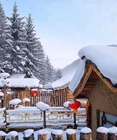 2D1N • Harbin & Yabuli Ski Resort & Xuexiang National Forest Park - 20-person tour group: Snow Town 4-star hotel & 3-hour skiing experience