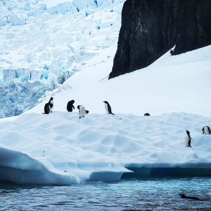 南极洲+阿根廷+乌拉圭17日跟团游