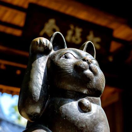 东京+轻井泽町7日6晚自由行