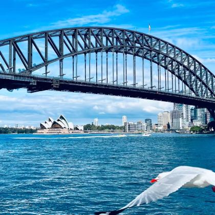 澳大利亚+新西兰15日12晚跟团游