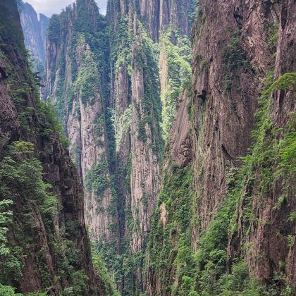 黄山风景区+婺源篁岭景区+西递+宏村景区5日4晚拼小团