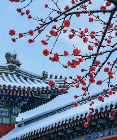 9D8N • DongBei Trip: Shenyang + Changchun + Jilin + Snow Town + Harbin    